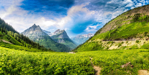 majestuosa vista sobre el parque nacional glacier desde la carretera going to sun, montana - montana us glacier national park usa glacier fotografías e imágenes de stock