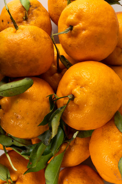 istock pokan tangerine fruits background pattern. 1364219050