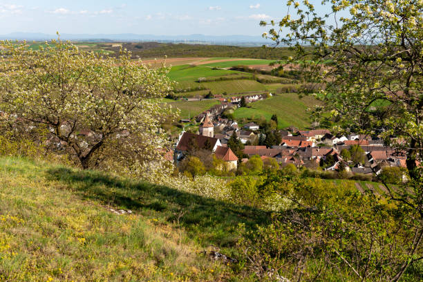 istock Weinviertel, Falkenstein, Austria 1364220849