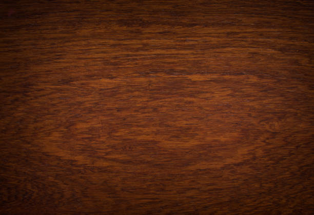 istock background and texture of Macro Ormosia wood 1364222208