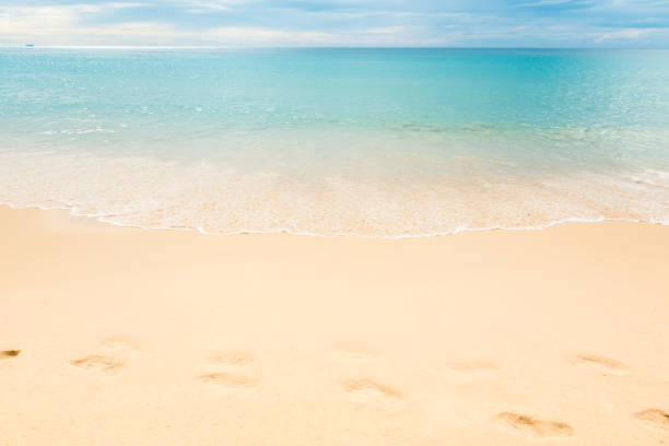 istock Footmark in the Sand   on Beach at Thailand 1364222372