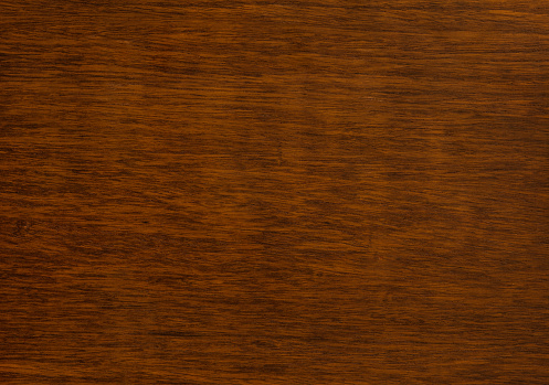 Macro Ormosia wood texture, Afzelia xylocarpa (Kurz) Craib, LEGUMINOSAE-CAESALPINIOIDEAE (FABACEAE)