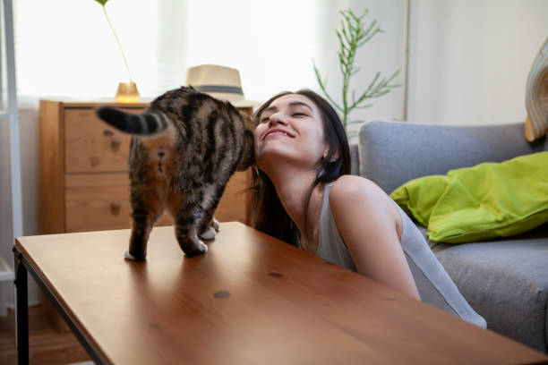 istock Young woman playing with cat on the table at home. 1364224473