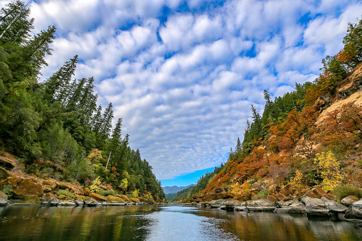 Rafting the Rogue River in the Oregon wilderness