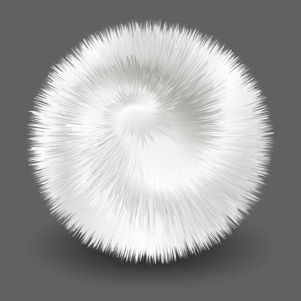 毛皮の白いポンポン、ファジーファーのテクスチャを持つ3dボール。ふわふわの冬のバブル、孤立した要素。ベクトルの図 - ふさふさ点のイラスト素材／クリップアート素材／マンガ素材／アイコン素材