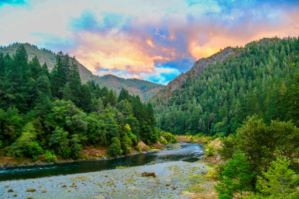 the wild and scenic section of the rogue river, oregon, usa - rafting on a mountain river imagens e fotografias de stock
