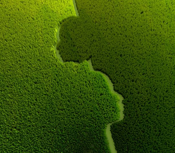 Two face profile view. 3D rendering