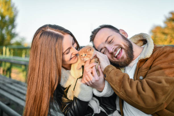 istock Couple Embracing Their New Pet Kitten Outside 1364228536