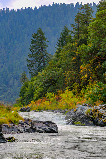 Rafting the Rogue River in the Oregon wilderness