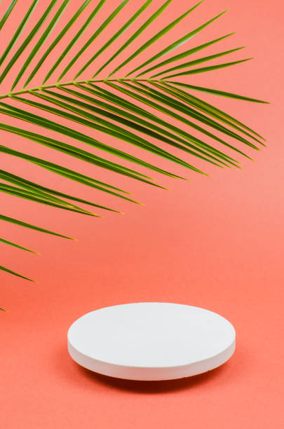 istock Empty showcase for packaging. Cosmetic beauty showcase. Round podium for the presentation of products and cosmetics made of natural stone with a palm branch. 1364229694