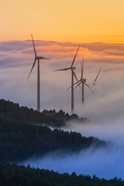istock Wind farm at sunrise, with low fog. Navarre (Spain). 1364232715