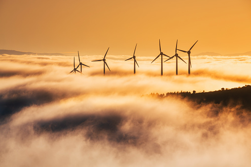 Wind farm at sunrise, with low fog. Navarre (Spain). Renewable energy concept.