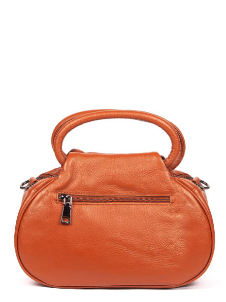 istock Brown leather woman's handbag isolated on white background 1364236480