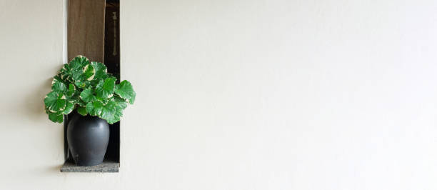 istock Interior home decor on a shelf green Vases plants on white bathroom wall background. Modern summer lifestyle resort beige wallpaper. Elegant lifestyle scene. Mantel light elements floral leaf concept. 1364238433
