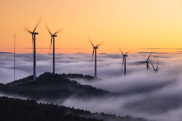 istock Wind farm at sunrise, with low fog. Navarre (Spain). 1364239751