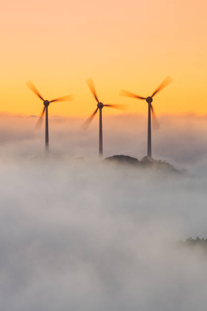 istock Wind farm at sunrise, with low fog. Navarre (Spain). 1364239763