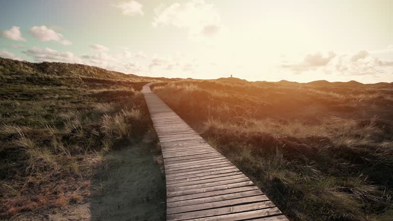 Boardwalk through the dunes