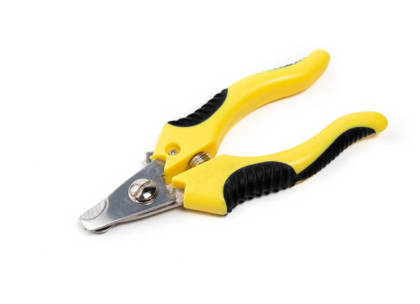 istock Dog nail trimmer, closed. 1364241484