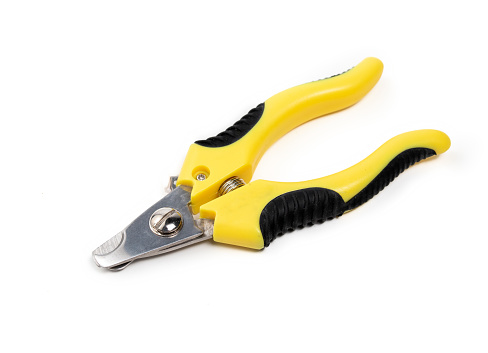 Yellow black scissor style clipper with two stainless steel blades. Used by groomers and pet owners to keep dog claws short and healthy. Isolated on white. Selective focus.
