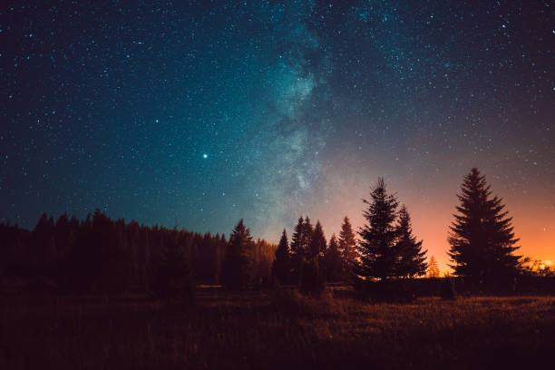 Photo of Night sky with the Milky Way over the forest
