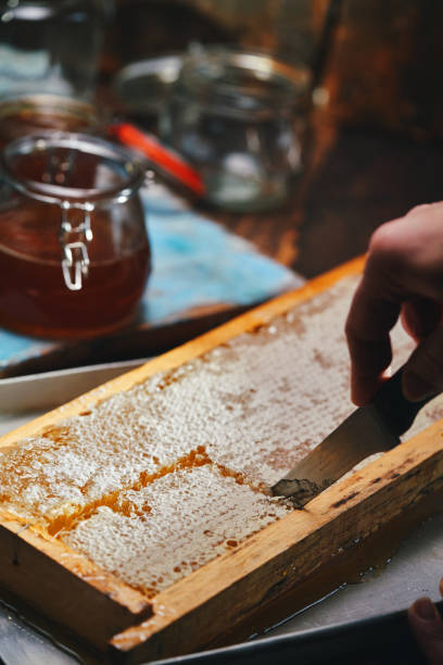 istock Healthy Honey with Honeycombs 1364249587