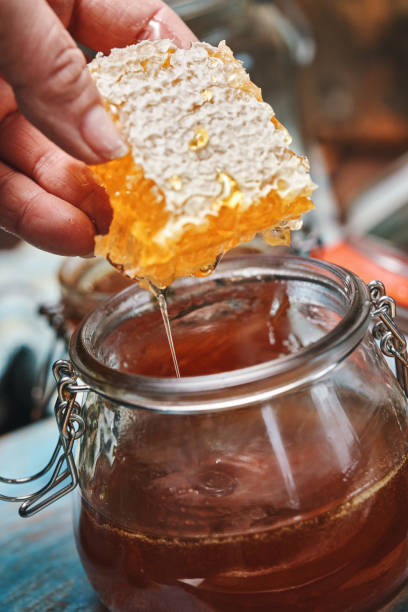 istock Healthy Honey with Honeycombs 1364249616