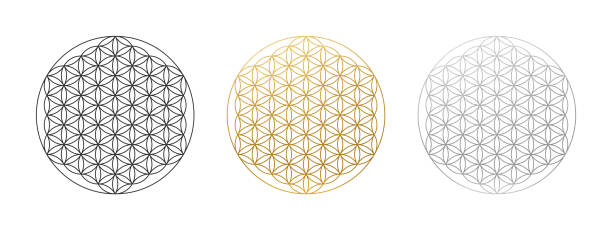 ilustrações de stock, clip art, desenhos animados e ícones de flower of life - vector set - flower of life