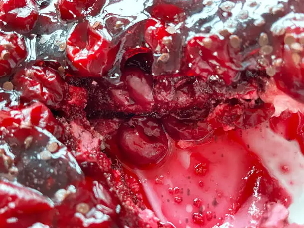Stock photo showing close-up, elevated view of white plate of Black Forest gateau decorated with Morello cherries removed from freezer and plastic packaging to defrost.
