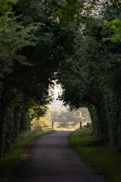 istock Footpath in UK countryside 1364251521