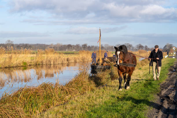 A heavy barge with a log on it is pulled along the river by man and horse.