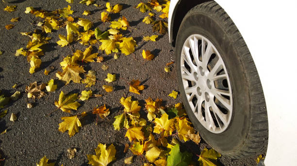 roda de carro na estrada. folhas de bordo caídas amarelas no asfalto. rua de outono dourado. viagem. condução. calota de automóvel. proteção auto. temporada de outono. pneu do veículo. estacionamento gratuito. dia de outono. cena. - tampa da jante - fotografias e filmes do acervo