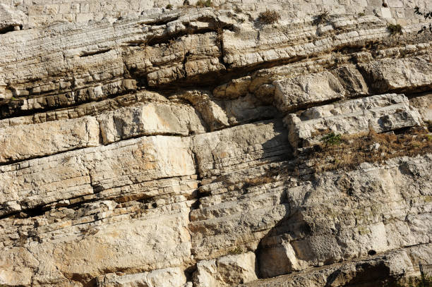 muros de jerusalém - parque nacional das muralhas de jerusalém - fotografias e filmes do acervo