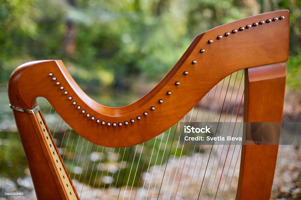 Celtic Harp Celtic Harp with greenery in the backgroun and fallen autumn leaves Celtic Style Stock Photo