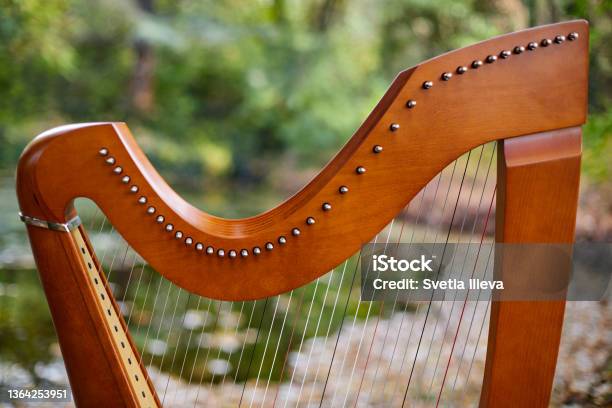 Celtic Harp Stock Photo - Download Image Now - Celtic Style, Harp, Nature