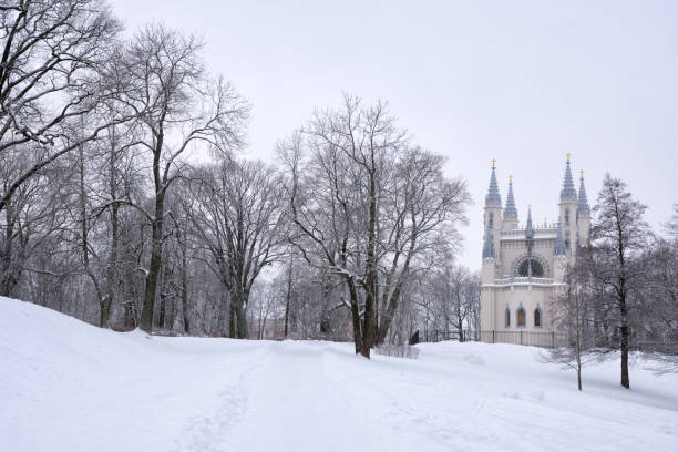 cold winter forest landscape snow