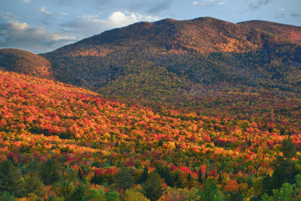 istock Colorful display of fall foliage at Twin Mountain 1364255486