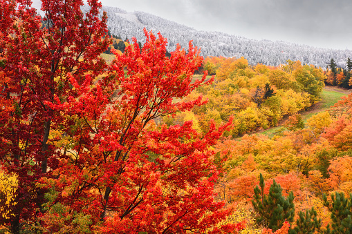 First sign of winter. Colorful display of autumn foliage and dusting of snow on Cannon Mountain in Franconia Notch State Park in White Mountains of New Hampshire.