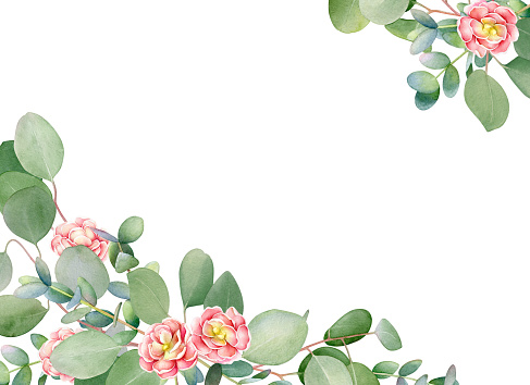 Watercolor eucalyptus tree branches and pink flowers for floral design.