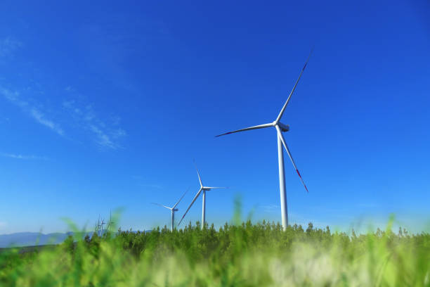 Travel in Thailand. Landmark of Khao Yai Thieng Windmill Nakhon Ratchasima Thailand. Wind turbines tower over a lush forest. Background of mountain far away under blue sky.