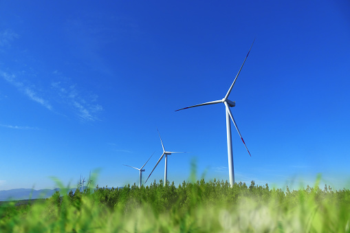 Wind turbine in nature