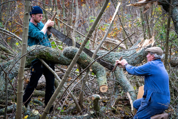 istock two men saw a branches of the tree by hand 1364258088