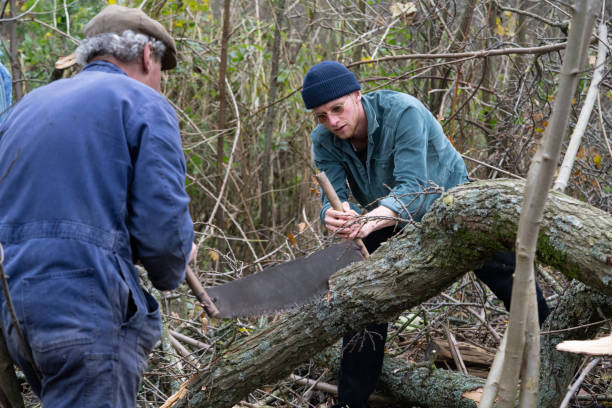istock two men saw a branches of the tree by hand 1364258217