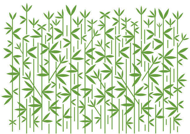 Bamboo decorative green background Stylized illustration of bamboo. Vector available. bamboo texture stock illustrations