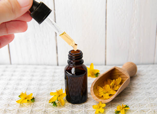 hypericum perforatum bekannt als perforate johanniskrauttinktur oder ölflasche mit pflanzenblumen zur dekoration auf weißem holzbretthintergrund. frau hand hält pipette. konzept der kräutermedizin. - johanniskraut stock-fotos und bilder