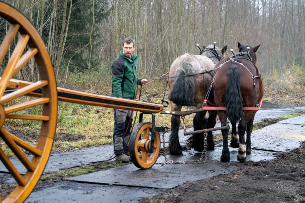 istock Cart for long heavy loads 1364259640