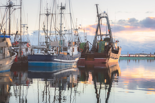 Calm, peaceful golden sunset or sunrise over commercial fishing boats and dock at Comox Marina on Vancouver Island, British Columbia, Canada.