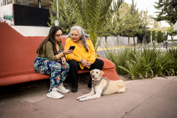 istock Mother and daughter sitting at the bench and using mobile phone 1364261118