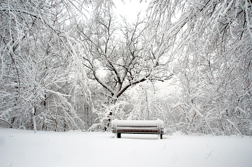 A park bench covered in snow after Minnesota blizzard.