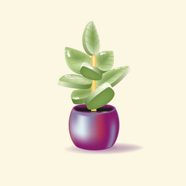 istock Flowerpot whith green plant on white background. 3d illustration 1364262499