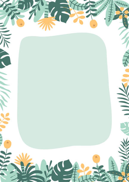 ilustrações de stock, clip art, desenhos animados e ícones de jungle party template. green tropical palm leaves frame border. wild party design. safari banner. hawaii birthday party invite. summer bright vector illustration. green birthday card. rainforest card. - plant animal backgrounds nature